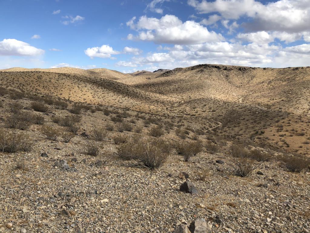 Giant 39.4 Acres of Raw Land near Accessible Dirt Road. South of Barstow, and East of Highway 247. A Beautiful and Completely Peaceful & Private Area for a Person Who Would Like to Get Away From it All, But Still be Close to Civilization. Wonderful Place to Build a Single Family Ranch Home, Use for Recreation, Raise Horses, Lodging, Grow Agricultural Crops, and a Variety of other Uses for RC Zoning! Topography is Mountainous so Excellent Spot for Hunting, Off Roading, Camping & Hiking! Owner is Willing to Carry Seller Financing With Only $1,000 Down and Flexible Terms!! Great Investment Opportunity! Parcel Dimensions 1,329 Feet x 1,261 Feet. San Bernardino County APN # 0417-043-09. Cal Electric Road Turnoff is on Hwy 247 About 1.4 Miles North of the Slash X Cafe. Possible Windmills and Solar Location!(High Tension Power Lines Adjacent Property for Connecting to the Grid!)