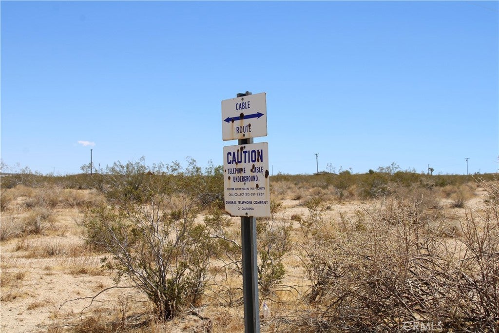 5 AC Joshua Tree