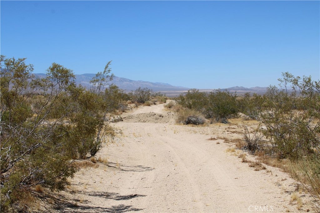 5 AC Joshua Tree