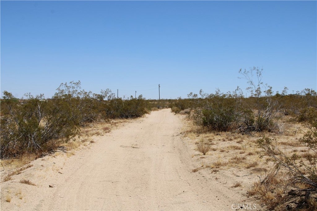 5 AC Joshua Tree