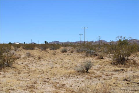 Photo of 5 AC Joshua Tree, Johnson Valley, CA 92285 (MLS # HD26165991)