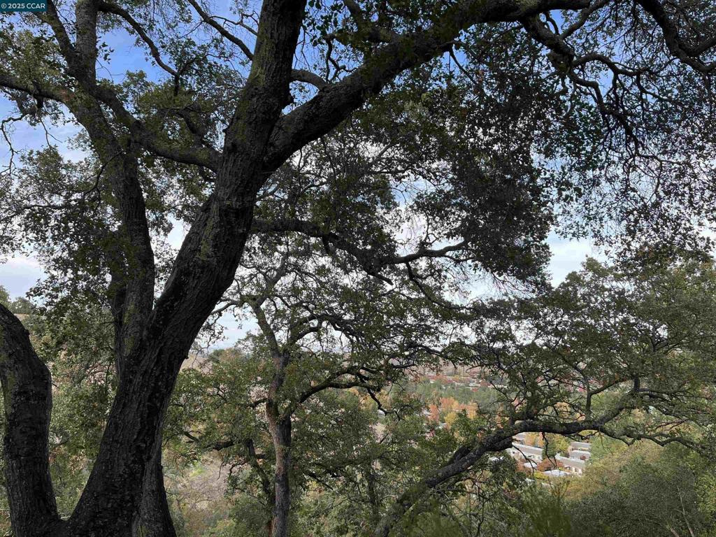 ROSSMOOR - Residential