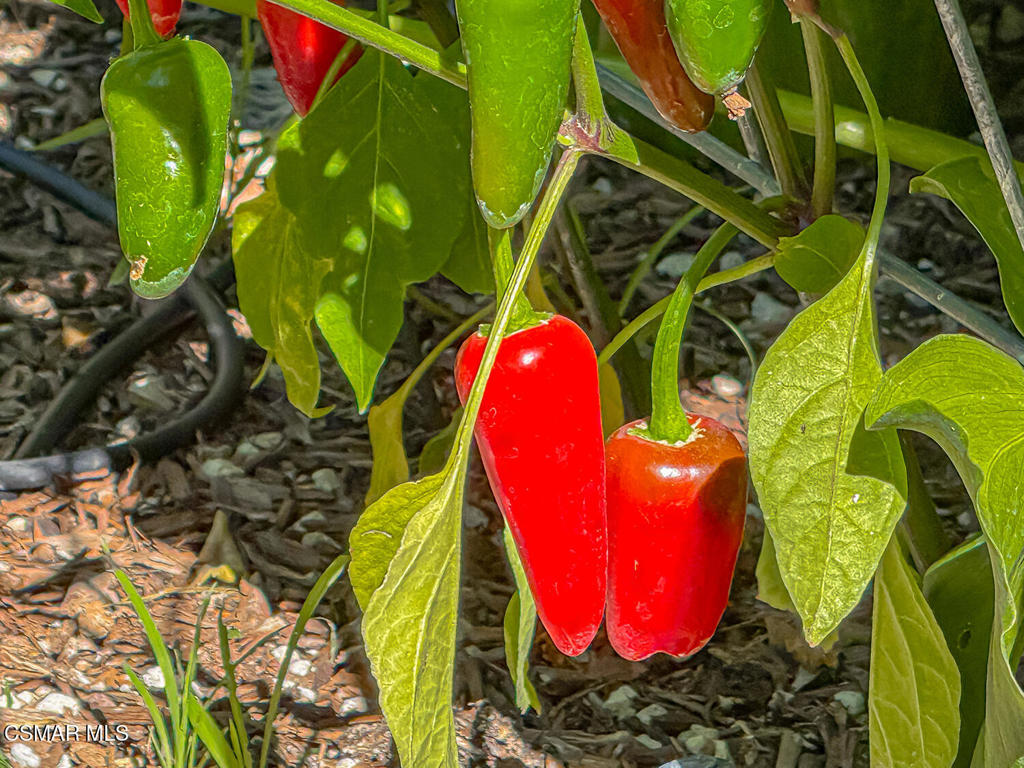 Concord Hill Road - 2542 - Residential