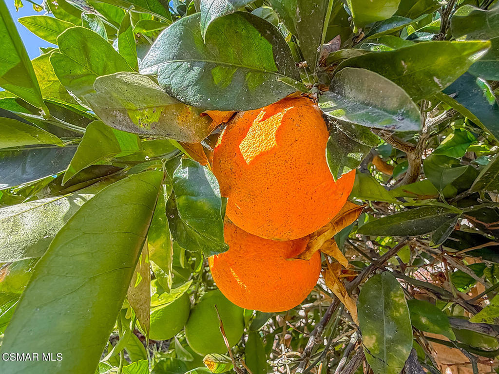 Concord Hill Road - 2542 - Residential