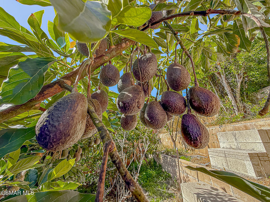 Concord Hill Road - 2542 - Residential