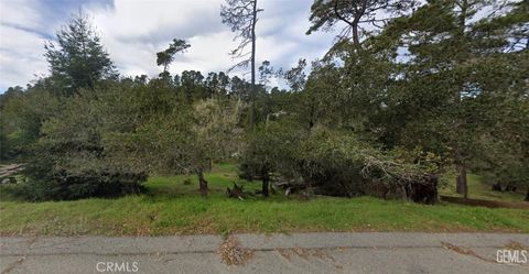 Tiny photo for 0 Orville Avenue, Cambria, CA 93428 (MLS # SR25201577)