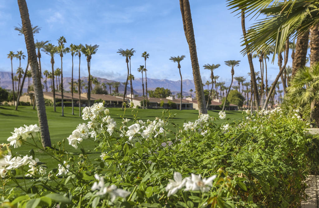 Desert Horizons C.C. - Residential Lease