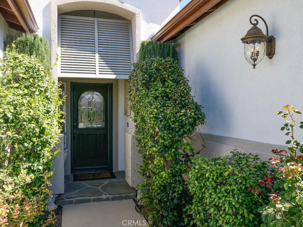 8174 Maruyama Drive
