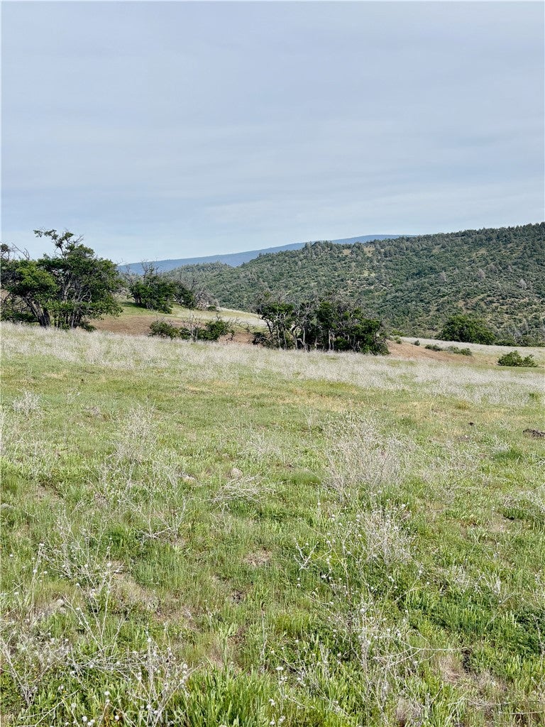 0 Yellow Dog Trail