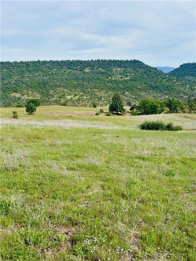 0 Yellow Dog Trail