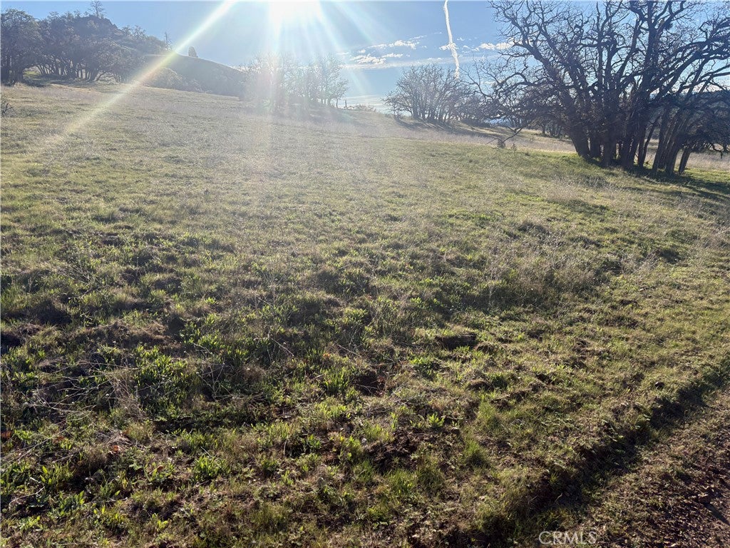 0 Yellow Dog Trail