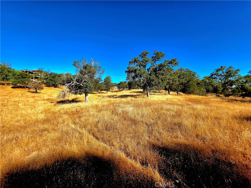3.79 acres of of blank raw land canvas with BIG views and endless potential! Utilities? ? Power, water, internet and phone at the street ready for your dream build. And because this parcel is over 2 acres, you can bring up to 2 horses with you!
Live where every day feels like vacation! Tee off at the YLP community golf course, cool off in the pool, ride at the equestrian center, play a match on the tennis courts or hike/bike on one of the many recreation trails within YLP. When you're finished playing, relax at the clubhouse or dine at one of the local favorites!
Perfectly positioned with beautiful views and an easy commute to Fresno. And don't forget easy access to Bass Lake, Chukchansi Casino, and the iconic Yosemite National Park. It's just 45 minutes north to the south gate of Yosemite.
?? Seller financing available with 50% down. Don't just dream it, build it!