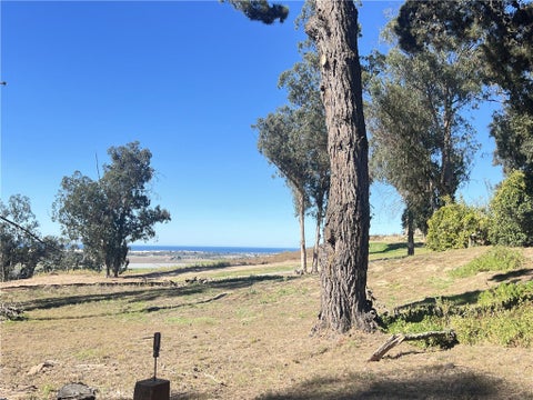 Tiny photo for 2 Castle Bluff Road, Arroyo Grande, CA 93420 (MLS # NS26196629)