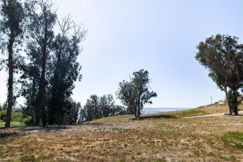 Tiny photo for 2 Castle Bluff Road, Arroyo Grande, CA 93420 (MLS # NS26196629)