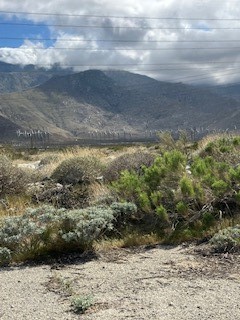 Quarter acre +- lot in Whitewater for sale. Higher elevation offers breathtaking views of San Jacinto mountain. Quiet area with a lot of opportunity for you to own land and bring your RV, mobile home or build your dream home. Close to Cabazon stores, restaurants and outlets. Lot is level. Water and electricity are available to many lots. Buyer to verify availability of all utilities for this property.
