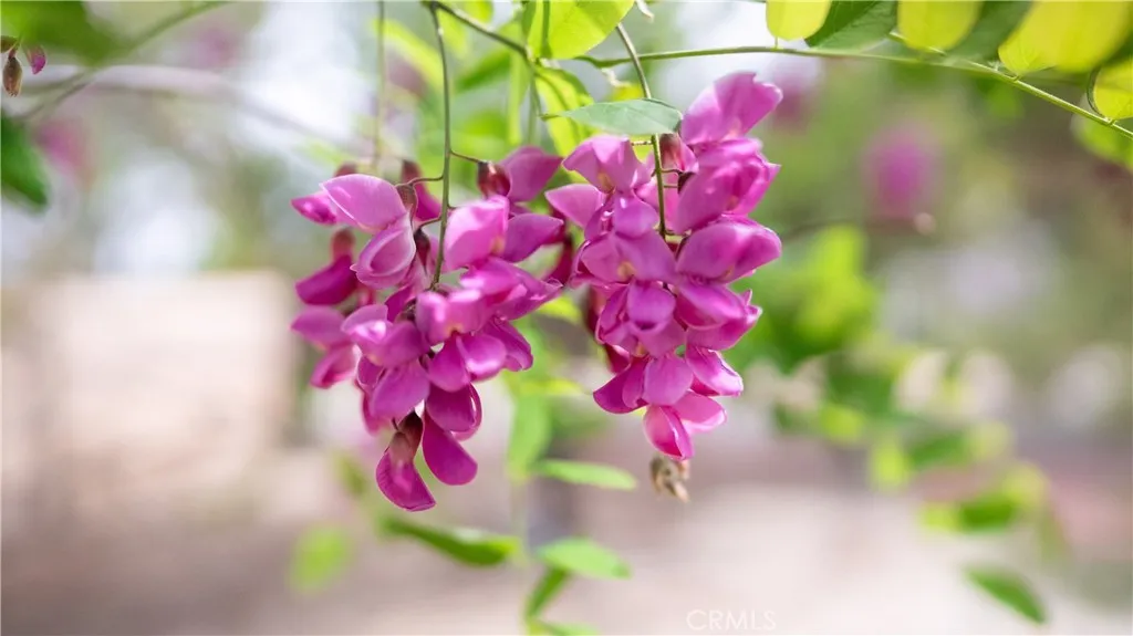 Pinon Hills, California 92372, United States, 4 Bedrooms Bedrooms, ,2 BathroomsBathrooms,Residential,Active,111263