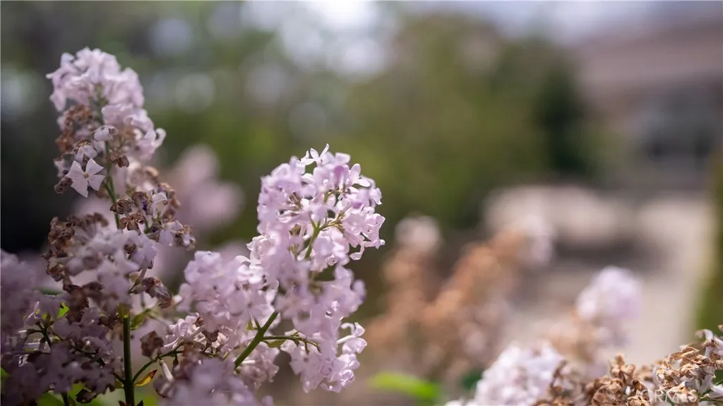 Pinon Hills, California 92372, United States, 4 Bedrooms Bedrooms, ,2 BathroomsBathrooms,Residential,Active,111263