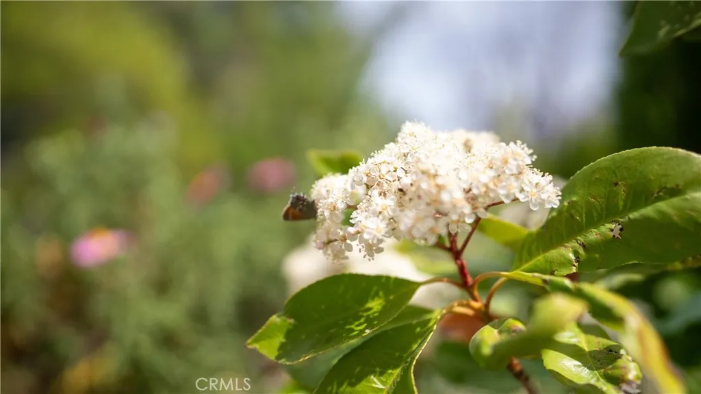 Pinon Hills, California 92372, United States, 4 Bedrooms Bedrooms, ,2 BathroomsBathrooms,Residential,Active,111263