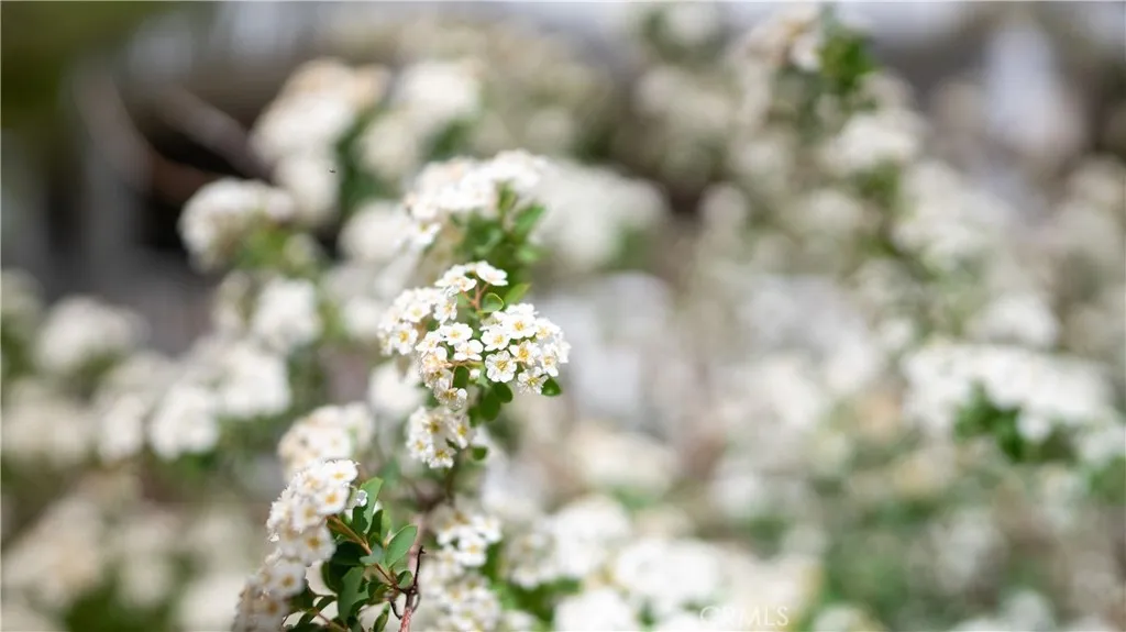 Pinon Hills, California 92372, United States, 4 Bedrooms Bedrooms, ,2 BathroomsBathrooms,Residential,Active,111263