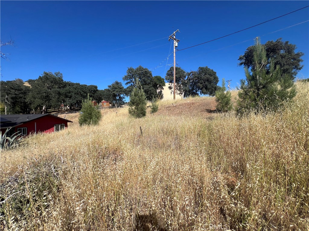2995 Oak Crest Drive