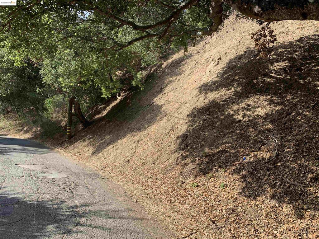 Upslope lot in Montclair with newer homes immediately adjacent and across the street. Great location.