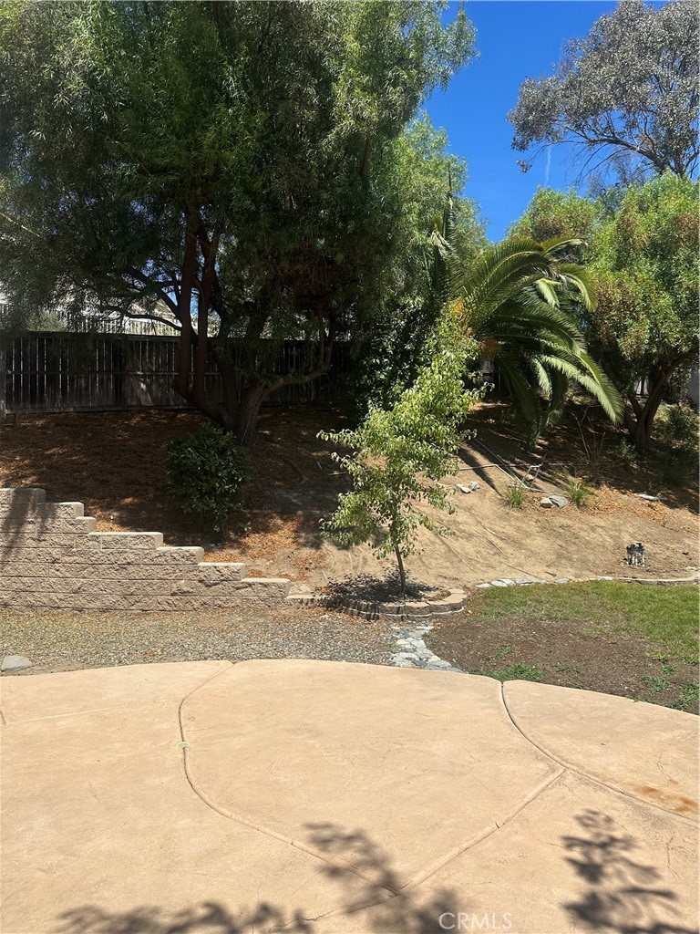 39258 Cayman Court