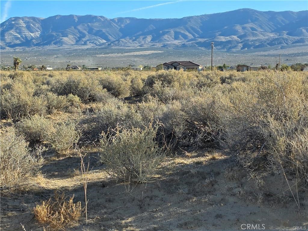 800 Desert View Road