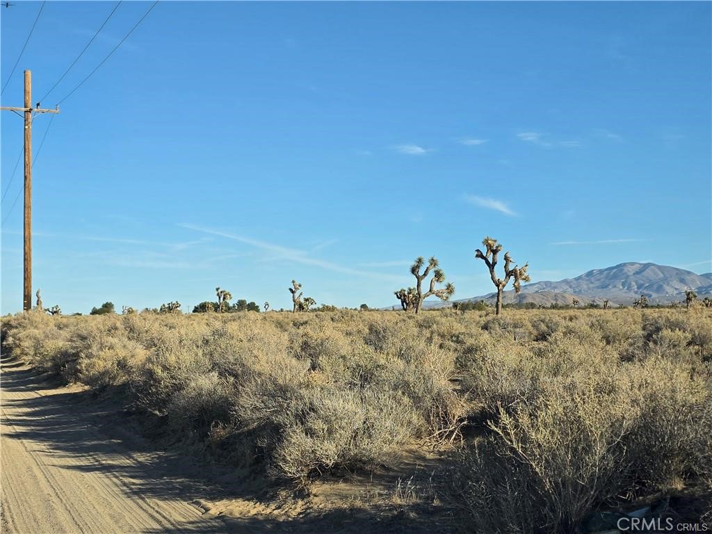 800 Desert View Road
