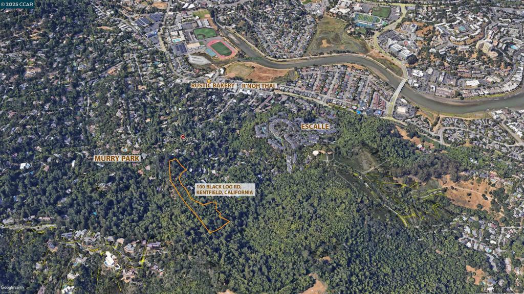 100 Black Log Rd