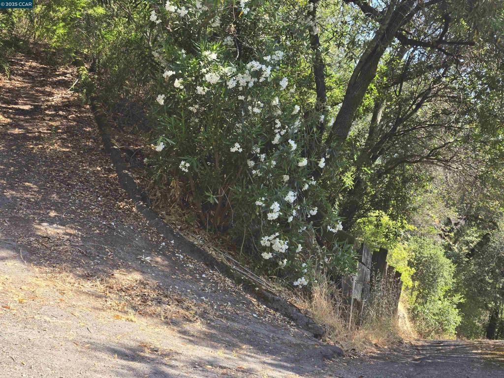 100 Black Log Rd