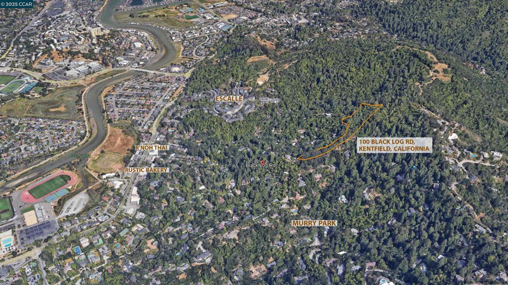 100 Black Log Rd