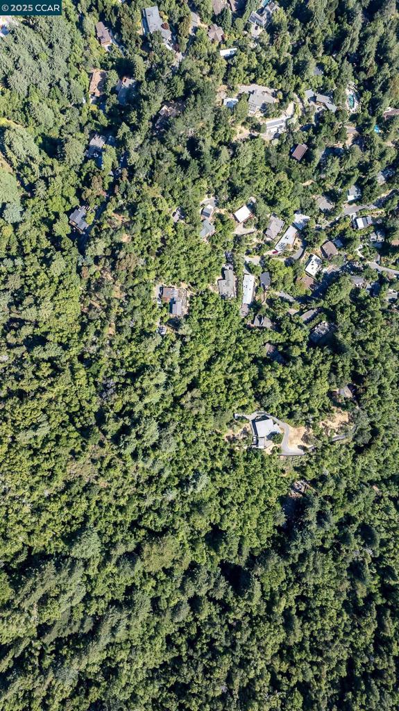 100 Black Log Rd