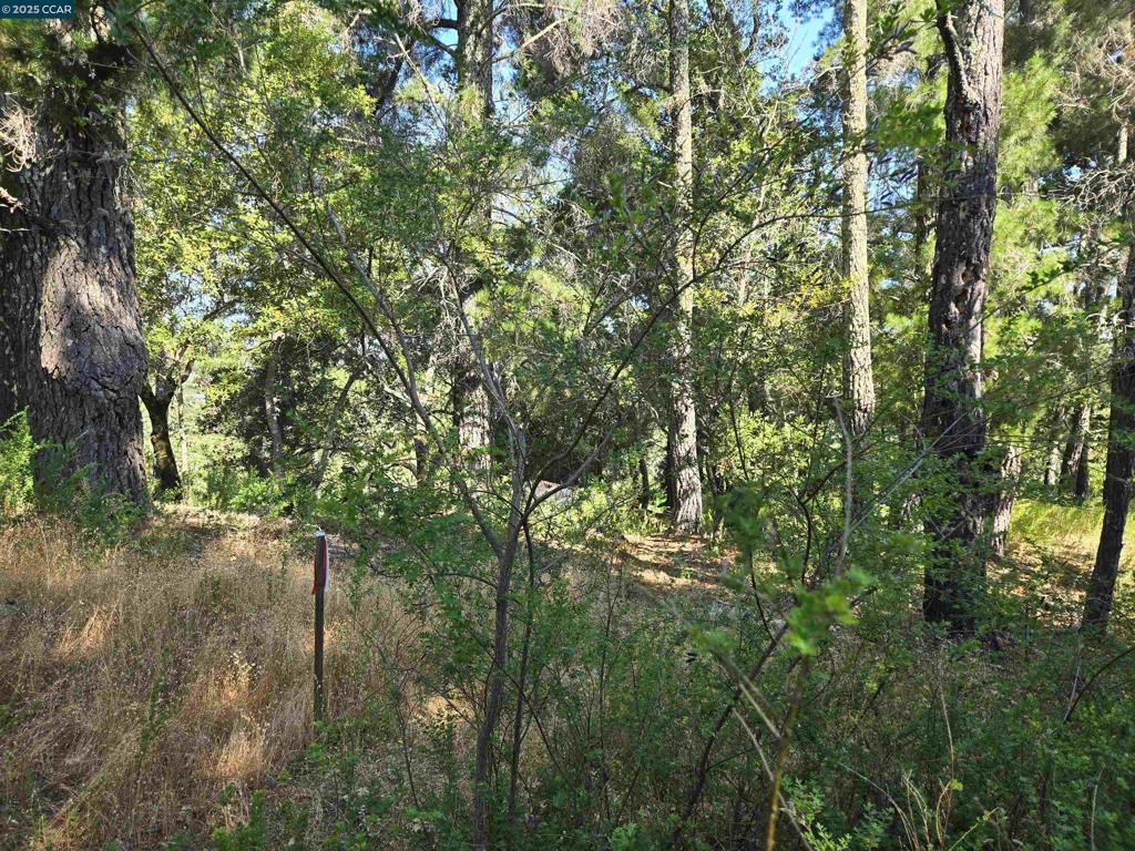 100 Black Log Rd