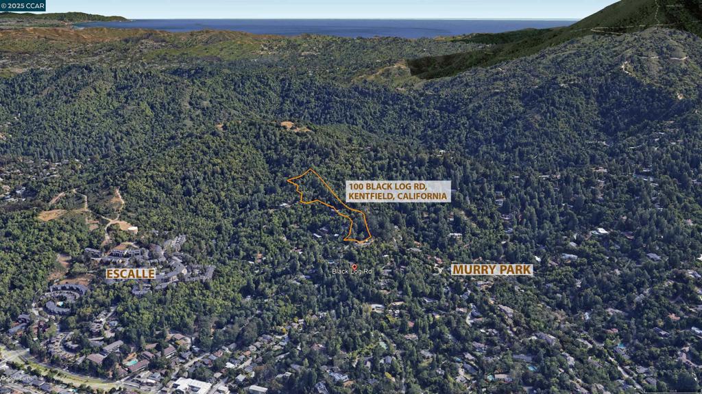 100 Black Log Rd