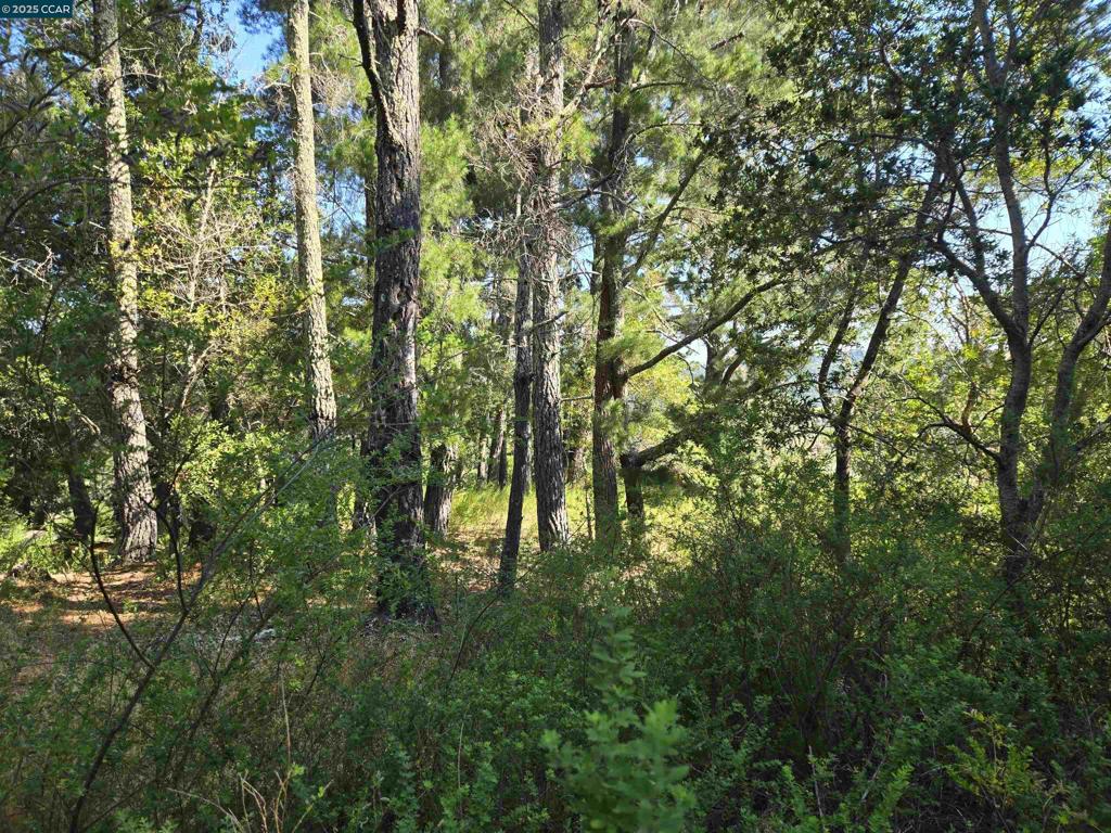 100 Black Log Rd