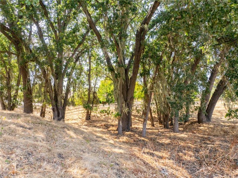 Tiny photo for 915 Santa Rita RD, Templeton, CA 93465 (MLS # NS26170281)
