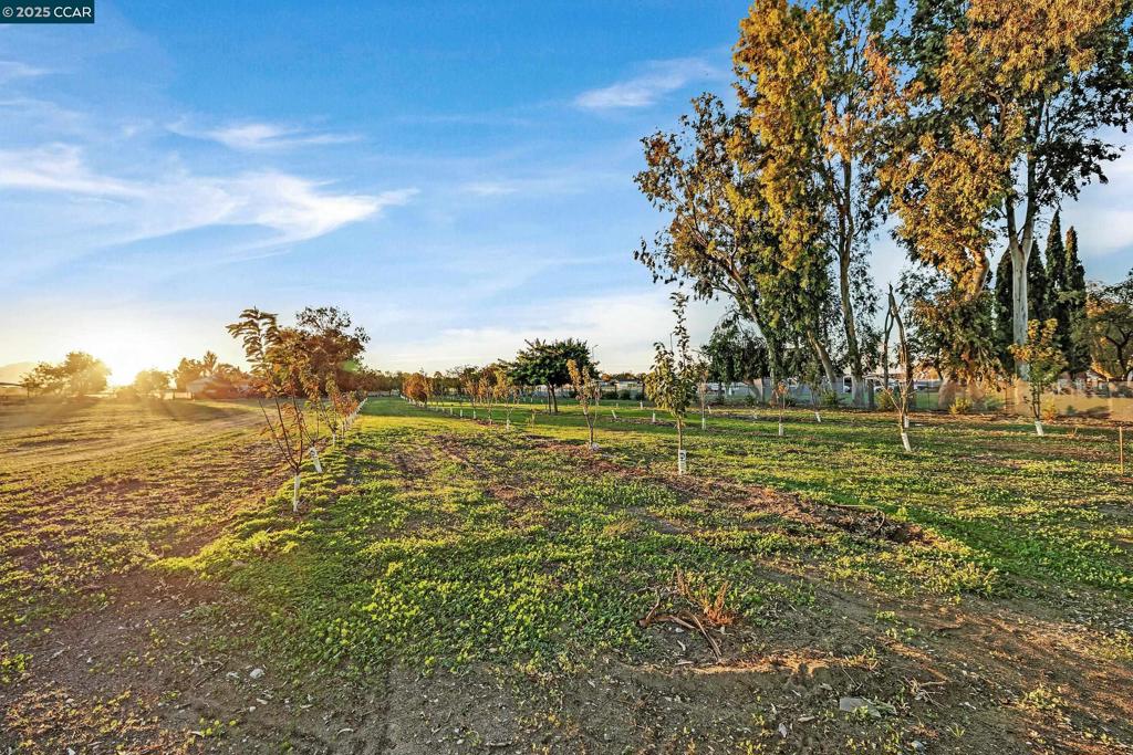 RURAL/RANCH - Residential