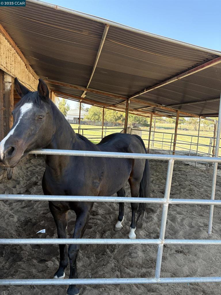 RURAL/RANCH - Residential