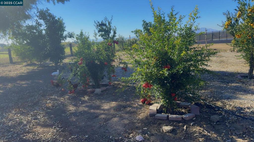 RURAL/RANCH - Residential