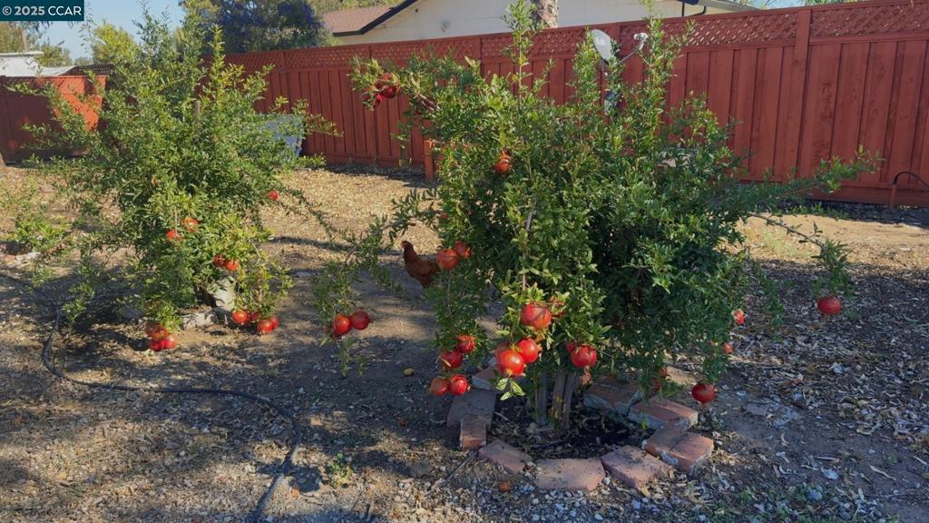 RURAL/RANCH - Residential