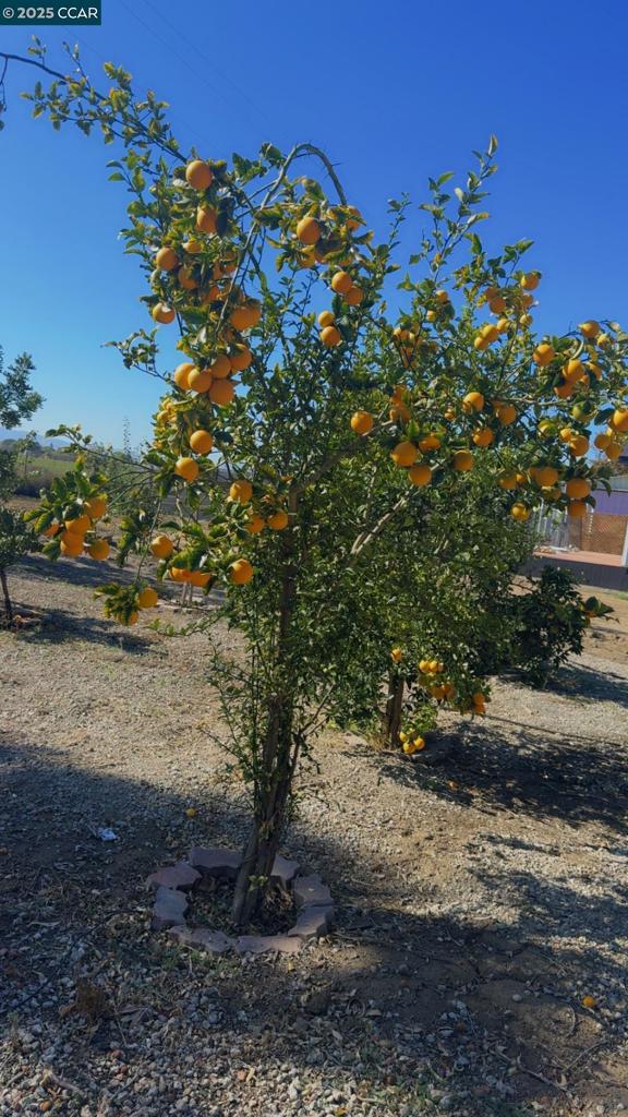 RURAL/RANCH - Residential