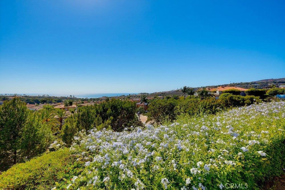 34 Corniche D, Dana Point CA 92629 - Photo 28