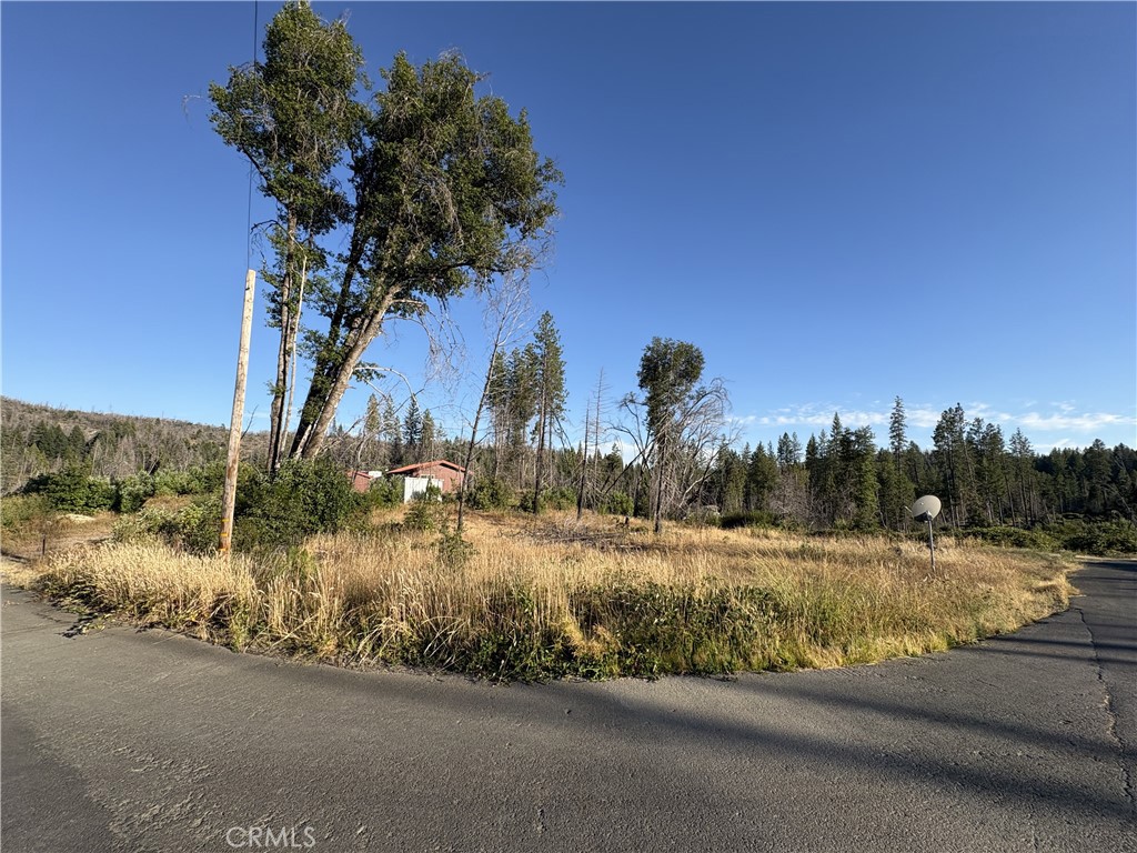 Tucked away in the beautiful gated community of Lake Madrone, this 0.29-acre corner lot is ready for your vision! With underground electricity, septic, and community well water already in place, much of the groundwork is done—making it easy to bring your dream cabin or vacation retreat to life. A small shed on the property offers storage space while you build. Located just a short drive or golf cart ride from the private lake, this lot gives you full access to all the magic the Lake Madrone community has to offer. Spend your days swimming, fishing, or just soaking up the peaceful atmosphere on it's natural sandy shoreline. The lake area is thoughtfully designed with a basketball court, horseshoe pit, picnic tables, string lights, and a huge firepit perfect for roasting marshmallows under the stars. The lake is stocked with fish for endless fun with family and friends. There's even a picturesque waterfall just a short hike away. This isn’t just a place—it’s a lifestyle. The community gathers throughout the year for events like Fourth of July pancake breakfasts, dances, and more, creating a true sense of connection. Looking to host a personal event? You can even reserve the lake for weddings or private gatherings. The town of Berry Creek, is also known for their Berry Festival due to the naturally growing blackberries on the mountain and is only about a 25 minute drive to Oroville shopping. Whether you're looking to build now or invest for the future, this slice of Berry Creek offers serenity, natural beauty, and a truly special community vibe. Come see what makes Lake Madrone such a hidden gem!