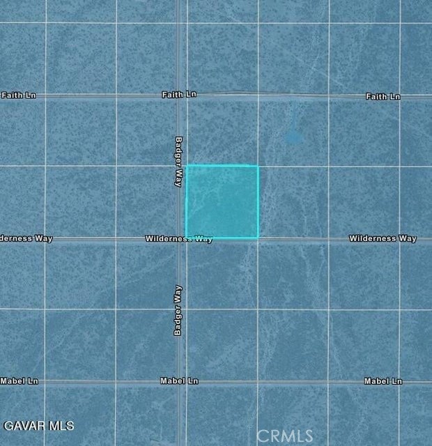 0 Charleston Ln & Badger Way