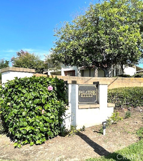 2021 Dacian Drive