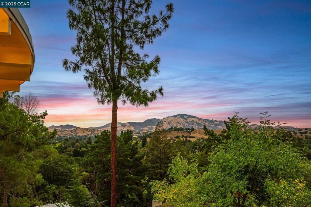 Photo of 1874 Meadow Ln Ln, Walnut Creek, CA 94595 (MLS # 41113450)