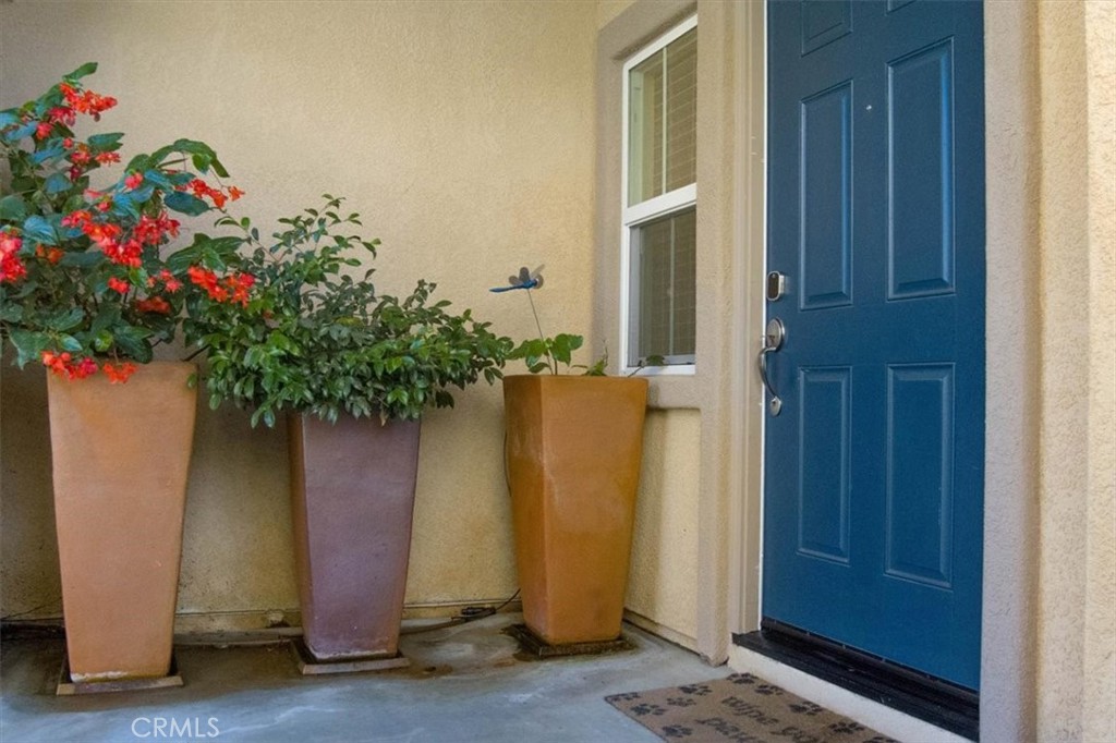 North West Lmpc(49) - Residential