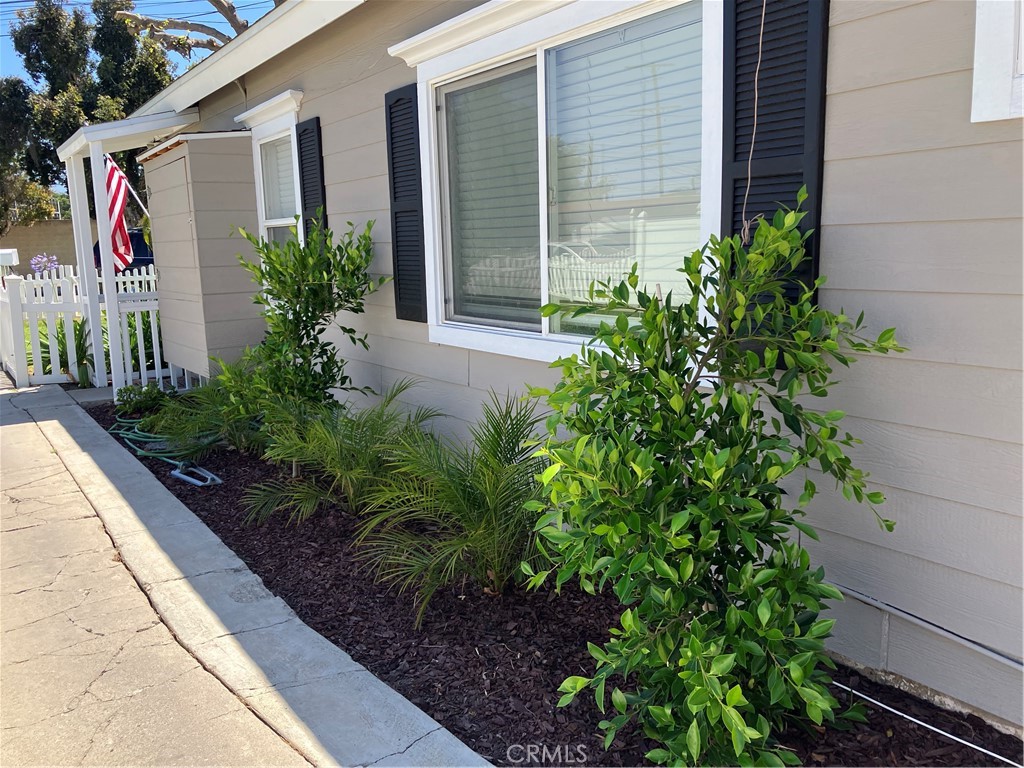 10047 Flora Vista Street