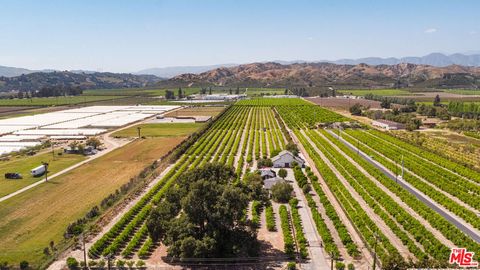 13721 W Telegraph Road Santa Paula CA 93060