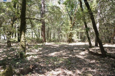 Photo of 4271 State Hwy 299 Rd, CA 95527 (MLS # 41118951)